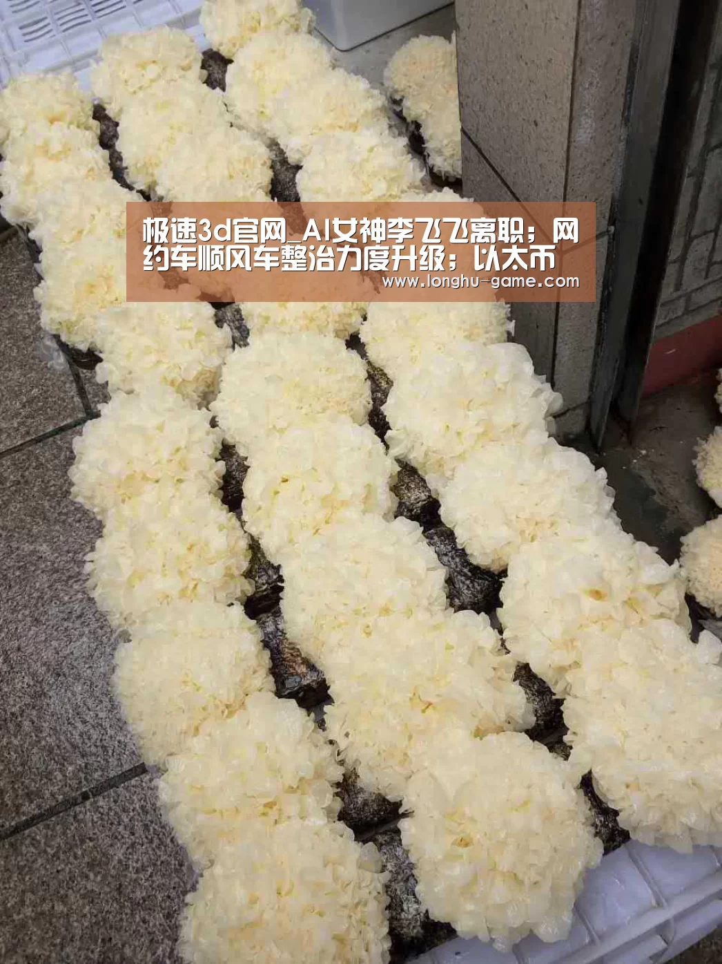极速3d官网_AI女神李飞飞离职;网约车顺风车整治力度升级;以太币领跌破200美元|雷锋早报(图4) 极速3d官网